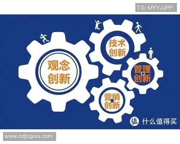 深圳排球队转型之路：从传统到创新的全新篇章探索