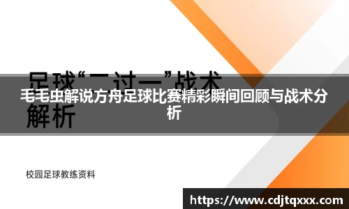 毛毛虫解说方舟足球比赛精彩瞬间回顾与战术分析