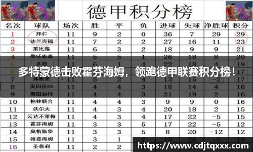 多特蒙德击败霍芬海姆，领跑德甲联赛积分榜！
