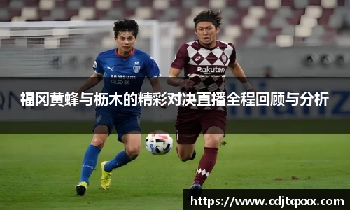 福冈黄蜂与枥木的精彩对决直播全程回顾与分析